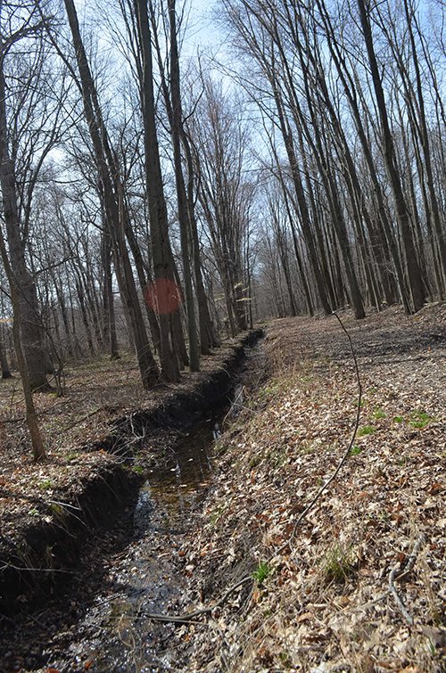 Property photo 107 - REAL ESTATE & PERSONAL PROPERTY AUCTION, 140 Acres offered in 8 Tracts or Combinations in Steuben County